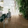 Керамическая плитка Gardenia Orchidea Earth в интерьере