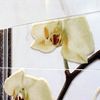 Интерьер коллекции керамической плитки Lux-r испанской фабрики Peronda
