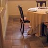 интерьер керамической плитки завода Tagina коллекции Antica Umbria
